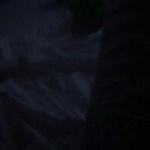 Meet your Posher, Lexi